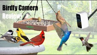 Birdfy Cam Review  The BEST Cam for Birders [upl. by Galasyn]