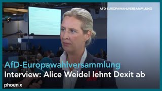 AfDEuropawahlprogramm Interview mit Alice Weidel [upl. by Anrat141]