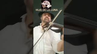 Hijo de la Luna  Mecano Pedro Martínez Aguilar violín [upl. by Gian657]