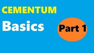 Cementum  Part 1 BASICS [upl. by Nonnaihr]