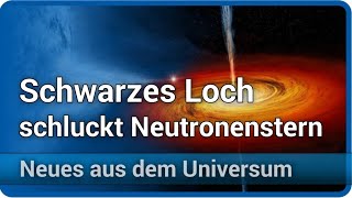 Gravitationswellen Schwarzes Loch schluckt Neutronenstern  Andreas Müller [upl. by Nosnirb739]