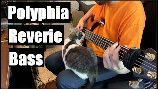 Polyphia  Reverie  Full Bass Cover [upl. by Nomsed]