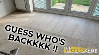 ITS BEEN A WHILE   CARPET CLEANING A WHOLE HOUSE  carpetcleaning asmrcarpetcleaning [upl. by Aubin991]