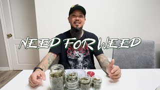 Need For Weed  Episode 14 [upl. by Inahet]