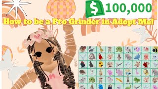 How To Become a Pro Grinder in AM  Giveaway InstructionsD [upl. by Anin263]