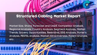 Structured Cabling Market Report 2024  Forecast Market Size amp Growth [upl. by Hannej]