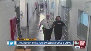 Pinellas County jail deputy fired for slapping inmate and lying about it [upl. by Flanigan647]