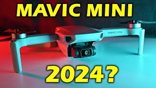 DJI Mavic Mini Worth Buying in 2024  10 things you NEED to Know [upl. by Ahsinrad]