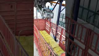 Automatic truck loading robot 50amp70kg bag loading [upl. by Clarke]