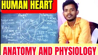 इतना आसान 😱😱Human heart  human heart Anatomy physiology  mechanism of blood circulation medical [upl. by Verity]