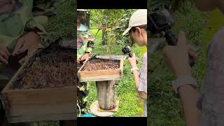 Stingless Bees Cant Sting But They Can Bite Stingless bee farm in Bali Indonesia [upl. by Esinrahc]