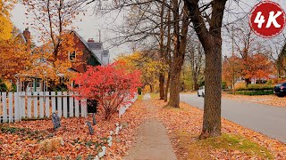 Peaceful Canadian Neighborhood Morning Walk  Beautiful Autumn Ambience  Sound for Sleep and Study [upl. by Ilrahc235]