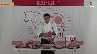 Webinar Ternera Gallega  Los secretos de la carne [upl. by Irwinn]