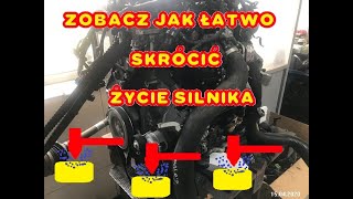 ELEKTROZAWÓR CIŚNIENIA OLEJU p06db VS WYTRZYMAŁOŚĆ SILNIKA [upl. by Meelas890]