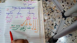 CLASSIFICATION OF EXTERNAL AUDITORY CANAL DISEASES so easy to grab [upl. by Lyreb158]