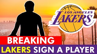 Lakers Roster News LA Adding New Role Player [upl. by Adlesirk391]