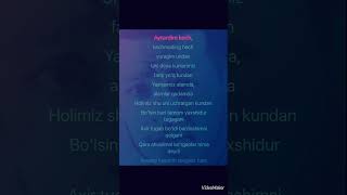 Mirjalol Nematov “Bir sher yozdim “ karaoke [upl. by Deehan96]