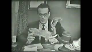 Bill Cullen Show 2 19 53 [upl. by Waterer321]