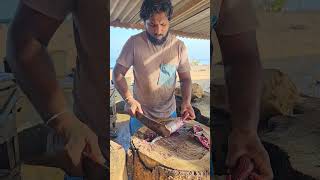 Fastest Tuna Fish Cutting Skill By Expert Fish Cutter  20Sec Fish Cutting Video [upl. by Idnam]