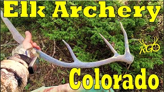 Colorado Archery Elk Opener 2024  RGO 451 [upl. by Idnas571]