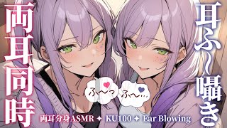 【ASMRKU100】分身した２人が両耳同時に耳ふーで寝かしつけ♡Ear blowing in both ears【沙汰ナキア睡眠導入】 [upl. by Atteuqnas303]