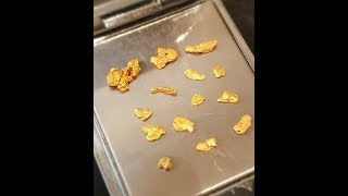 Gold detecting Pilbara WA 9 [upl. by Evetta]