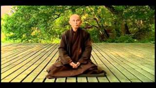 Thich Nhat Hanh about Freedom [upl. by Bollen]