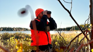 October 2024 Moose Hunting Ontario [upl. by Ylen915]