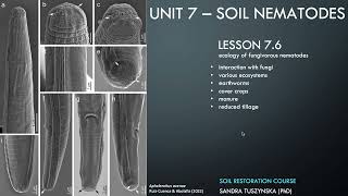 Lesson 76  Ecology of fungal feeding nematodes [upl. by Sheree]