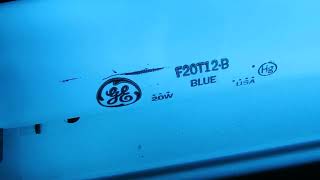 GE F20T12B Blue fluorescent lamp [upl. by Edva865]