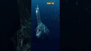 Top 10 Mysterious Objects Found in the Oceans🌊 oceanmysteries seacreatures [upl. by Demeyer]