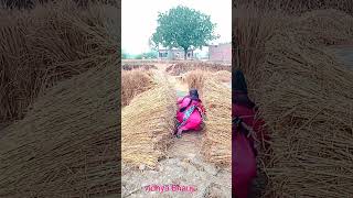 आओ राजा vidhya Bhauji sortsshortsvideo youtubshorts [upl. by Gelhar]