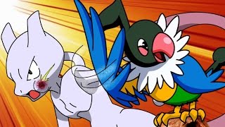 Combates Pokémon Online El Chatot Asesino [upl. by Saire]