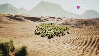 The Sahara  From Green Paradise to Arid Desert [upl. by Imelida]