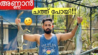 💥ചത്തുപോയ അണ്ണാനുംചൂണ്ടയിൽ പിടിച്ച അരാപൈമയും  Aged Squirrel and Arapaima [upl. by Reynolds]