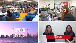 Todo lo que debes saber de estudiar inglés en Canadá 🇨🇦📚✈️ [upl. by Ahsikahs722]