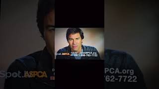 aspca commercial 2014 [upl. by Norvan]