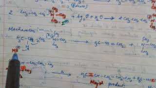 Elimination Reaction Hofmann Elimination Reaction [upl. by Sigismondo]