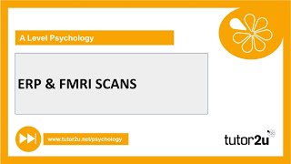 ERP amp FMRI Scans Explained  Biopsychology  ALevel Psychology [upl. by Renfred]