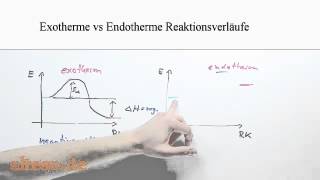 Exotherme vs Endotherme Reaktionsverläufe [upl. by Nysila299]