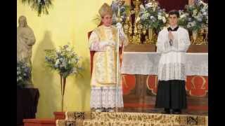 Sermon of His Excellency Bishop de Galarreta Ordinations 2013 PART 3 [upl. by Esele]