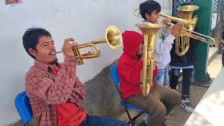 🔥🎺 El Maestro Mateo Reyes y la Banda Virgen de Guadalupe del Platanar Guerrero [upl. by Lenrad390]