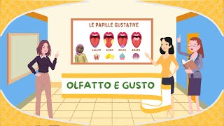 Olfatto e gusto  I 5 sensi  Anatomia per bambini [upl. by Ettennat516]