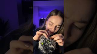 Bugs ASMR🐛 asmrbugsasmrbugsearchingasmrmicbrushingasmr [upl. by Broome]