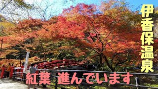 群馬県渋川市 伊香保温泉いかほおんせん 紅葉進んでいます 2024年11月11日撮影 [upl. by Elane260]