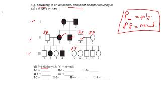 autosomal dominance 1 page 58 [upl. by Aihsas]