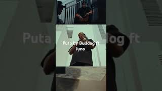 Puta by Bulldog ft Juno Kizigenza [upl. by Dode507]