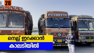 നെല്ല് ഇറക്കാൻ കാലടിയിൽ  Kodagu Punjab Trip  EP 28  Jelaja Ratheesh [upl. by Selfridge]