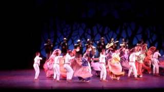 NAYARIT BALLET FOLCLORICO DE LA UNIVERSIDAD DE GUADALAJARA [upl. by Kinemod]