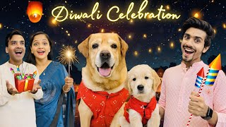 Diwali Celebration With Family  Leo Or Reo Ne Fode Patake  Anant Rastogi [upl. by Guod]